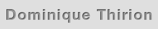 Dominique THIRION
